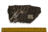 F 01458
<br/>
<br/>
<em></em>